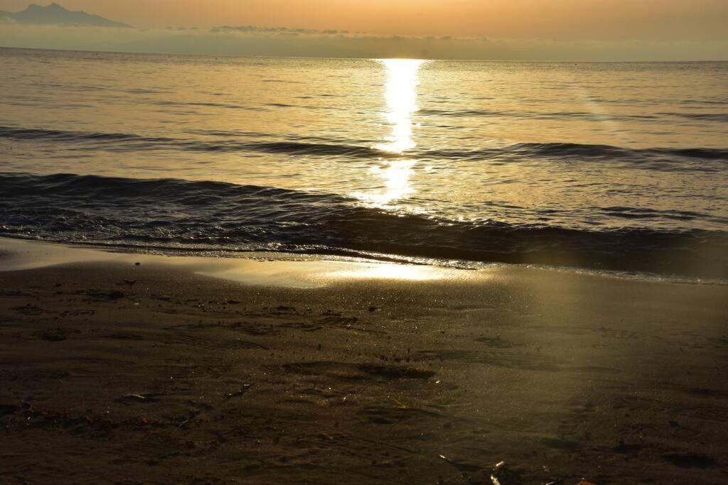 Seashell Apartment -Near The Beach Artemida  Ngoại thất bức ảnh